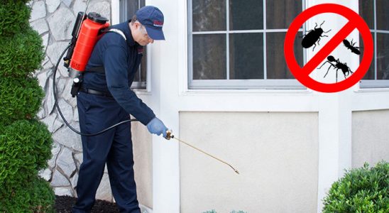 Egekent Fare İlaçlama böcek ilaçlama ve haşere kontrolü — ilaclama-tr.com